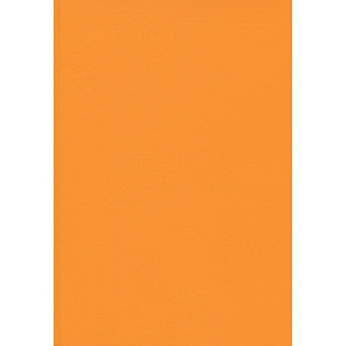 Оранжевый (А5, 176л.) ЕЖЕДНЕВНИКИ БУМВИНИЛ - фото 1