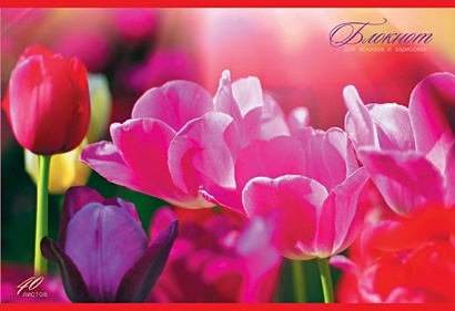 Яркие тюльпаны АЛЬБОМЫ ДЛЯ РИСОВАНИЯ (*скрепка). 40 листов - фото 1