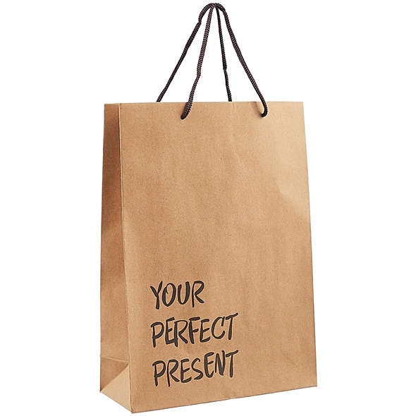 Пакет «Perfect present», А4 - фото 1