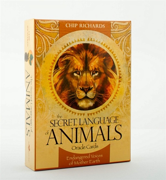 Secret Language of Animals (46 cards and 156-page guidebook) - фото 1