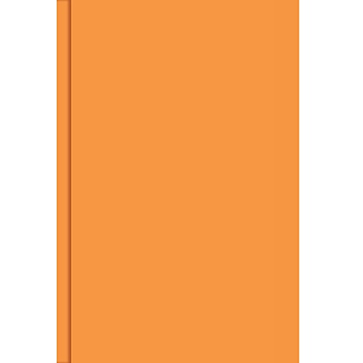 Оранжевый 160л. А6 - фото 1