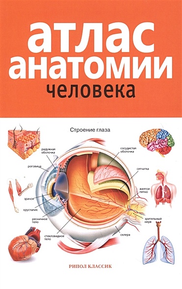 Атлас анатомии человека. 2-е изд., доп. и перераб. Марысаев В.Б. - фото 1