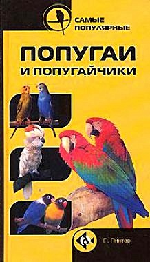 Самые популярные попугаи и попугайчики - фото 1