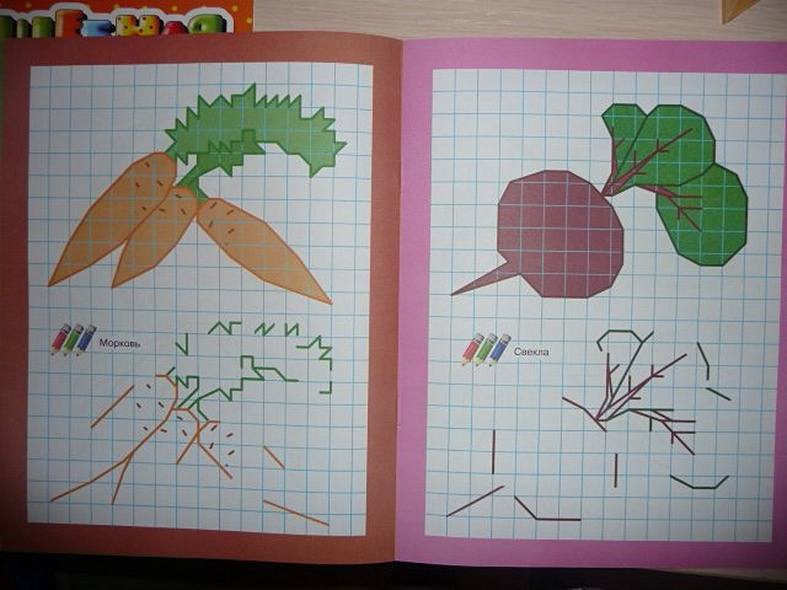 Рисуем по клеточкам. Что растет на огороде - фото 5