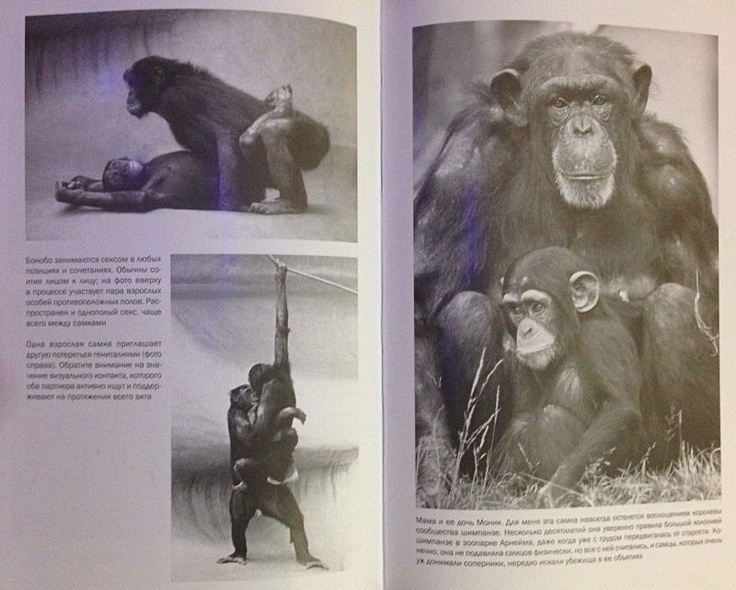 Истоки морали: В поисках человеческого у приматов - фото 9