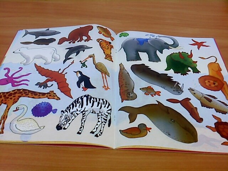 Где живет жираф - фото 4