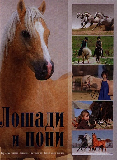 Лошади и пони - фото 1