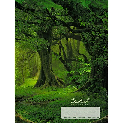 Дневник школьный «Таинственный лес», 48 листов - фото 1