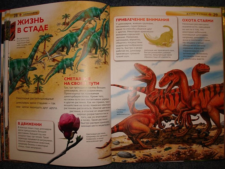 Динозавры - фото 15