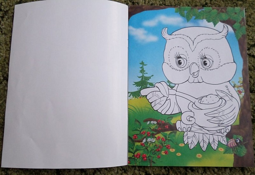 Чем питается зверек - фото 2