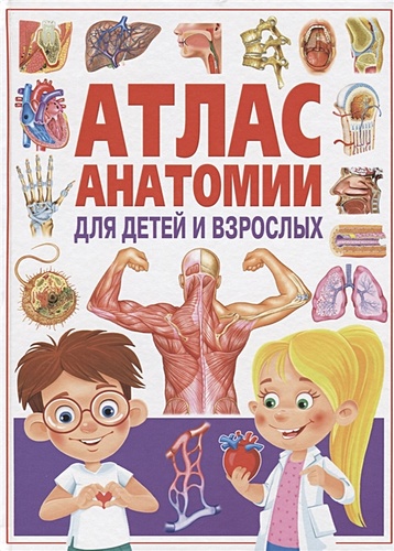 Атлас анатомии для детей и взрослых - фото 1