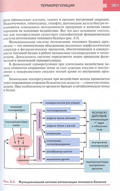 Журнал анатомии и гистопатологии. Журнал анатомии и гистопатологии