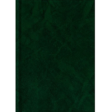 Темно-зеленый (полудатированный А5) ЕЖЕДНЕВНИКИ БУМВИНИЛ - фото 1