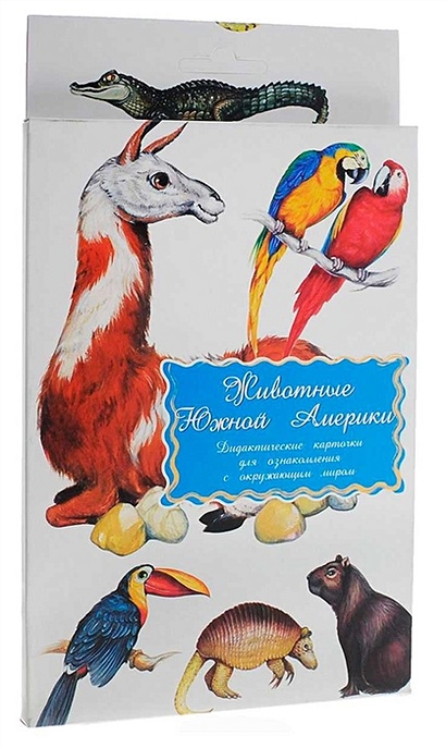 Животные Южной Америки Дидактические карточки для ознакомления с окружающим миром - фото 1