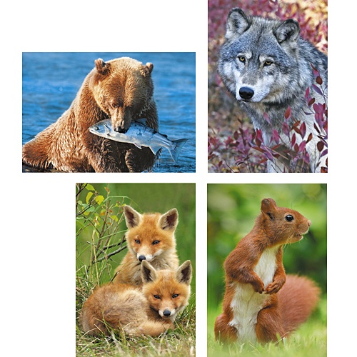 Лесные животные (Белка, Медведь, Лисята, Волк) ПАЗЛЫ МИНИ-ПЭК - фото 1
