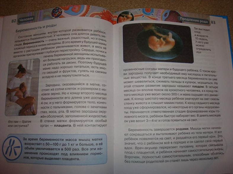 Человек - фото 5