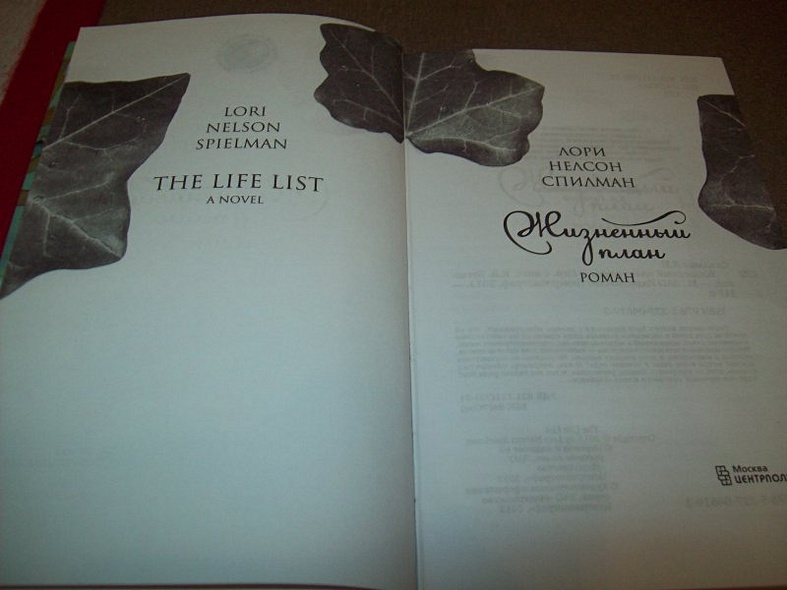 Жизненый план - фото 13