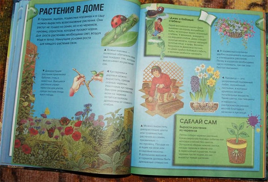 Энциклопедия необходимых знаний - фото 10