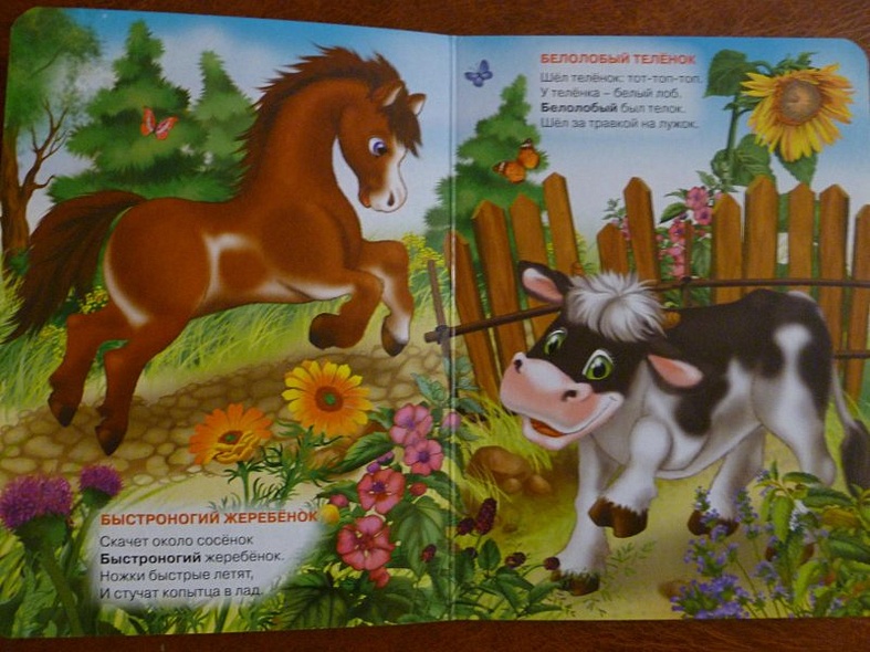 Учимся правильно говорить. учимся говорить (кот) - фото 5