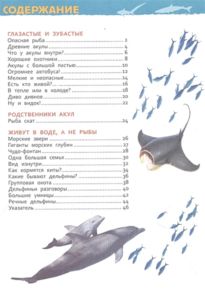Акулы, киты и дельфины. Энциклопедия для детского сада • Попова Л.А ...