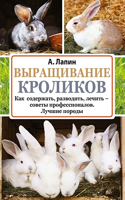 Выращивание кроликов - фото 1