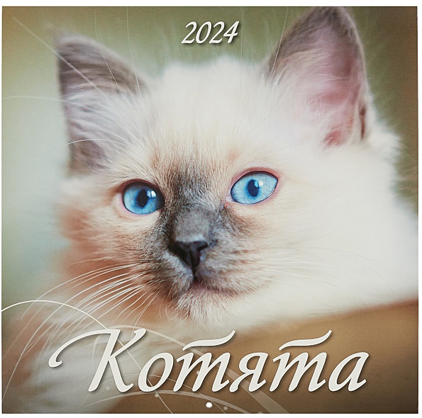 Календарь 2024г 285*285 "Котята" настенный, на скрепке - фото 1