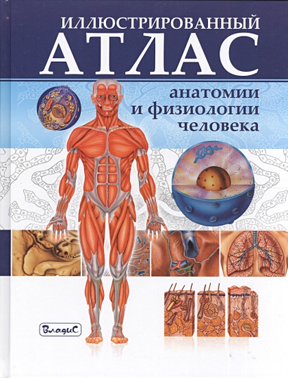 Иллюстрированный атлас анатомии и физиологии человека - фото 1