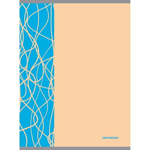 Тетрадь для конспектов в клетку «Неоновые штрихи. Оранжевый и голубой», А4, 96 листов‎, А5, 48 листов - фото 1