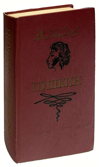 Пушкин - фото 1
