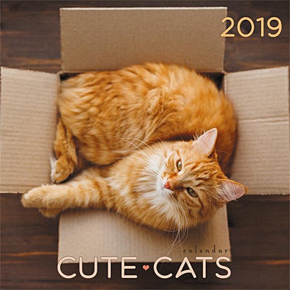 Домашние любимцы. Рыжий кот ***КАЛЕНДАРИ 2019_ НАСТЕННЫЕ ПЕРЕКИДНЫЕ - фото 1