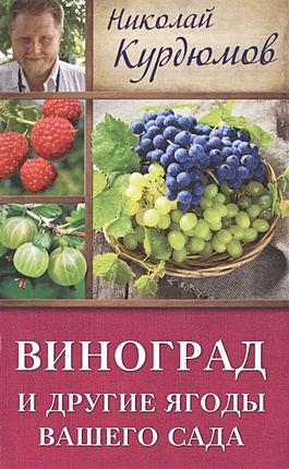 Виноград и другие ягоды вашего сада - фото 1
