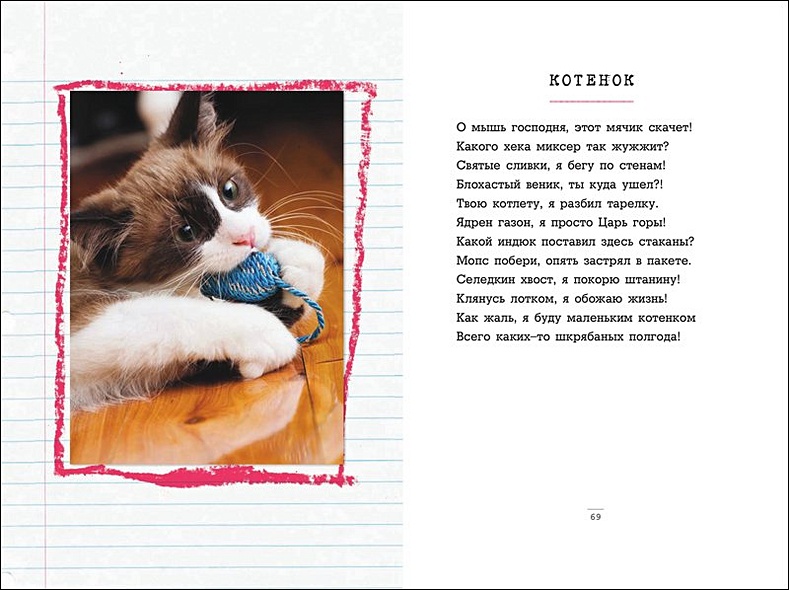 Стихотворение про котика