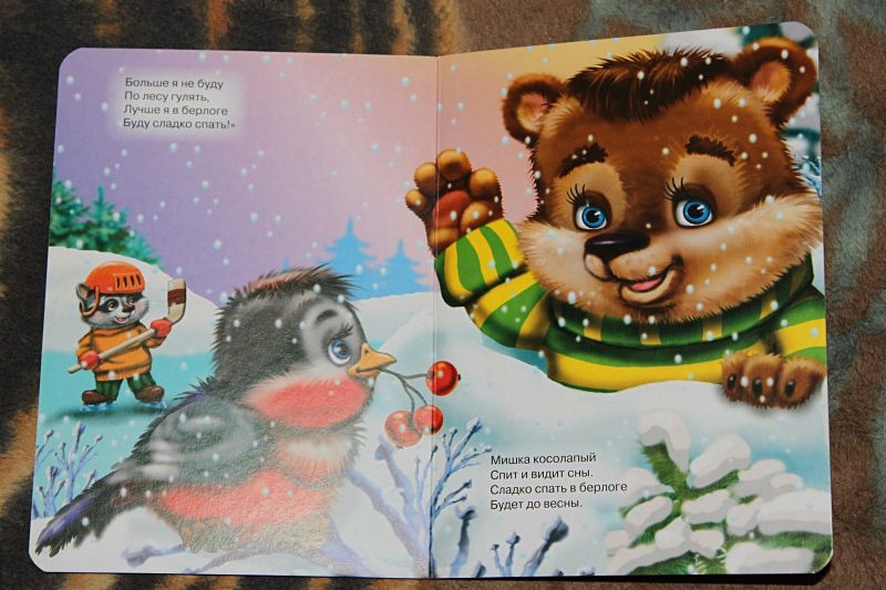 Мишка косолапый - фото 13