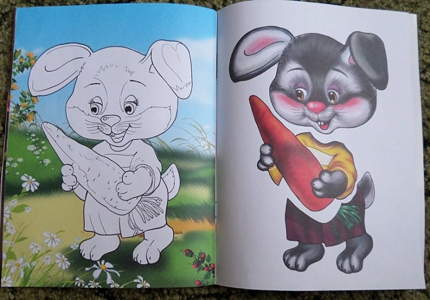 Чем питается зверек - фото 5