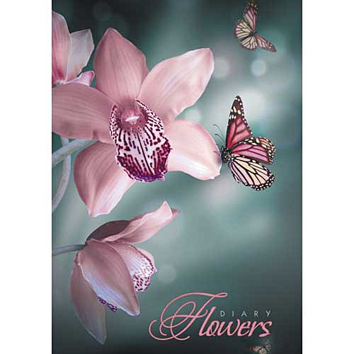 Цветы. Прекрасные орхидеи ЕЖЕДНЕВНИКИ 7БЦ (ТВЕРДЫЙ ПЕРЕПЛЕТ) - фото 1