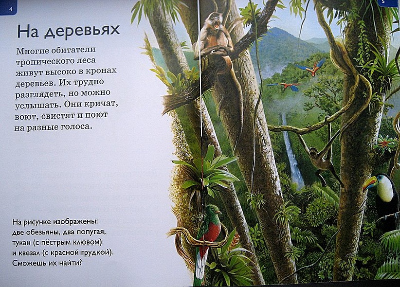 Джунгли - фото 4