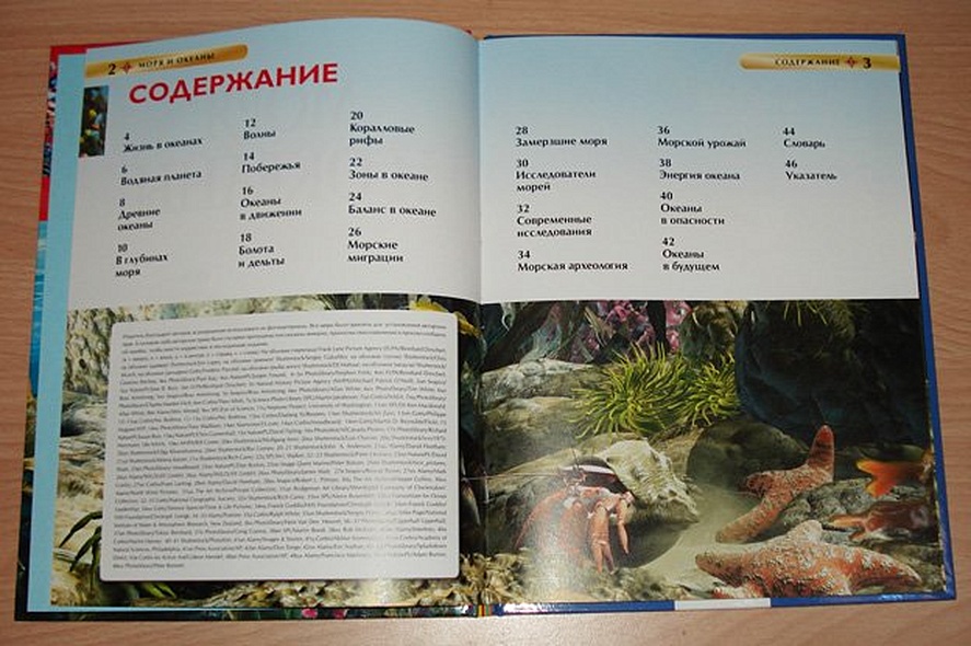 Моря и океаны - фото 3