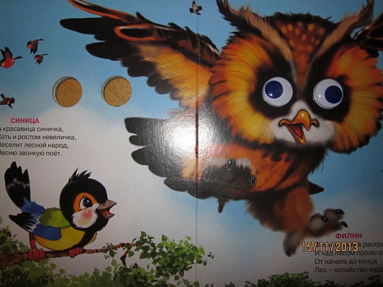 ГЛАЗКИ. КТО БОЛЬШОЙ, КТО МАЛЕНЬКИЙ? - фото 6