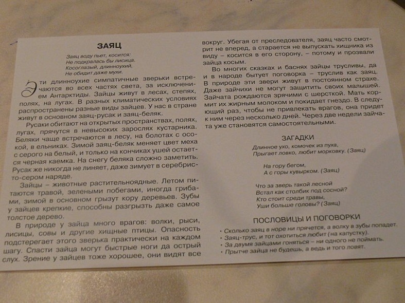 Расскажите детям о лесных животных - фото 9