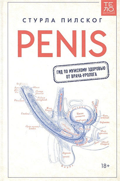 Penis. Гид по мужскому здоровью от врача-уролога - фото 1