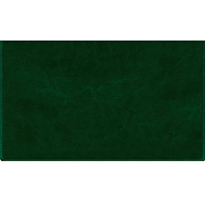 Планинг. Зеленый (146417) ПЛАНИНГИ - фото 1