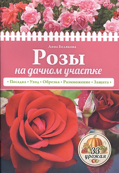 Розы на дачном участке (нов.оф.) - фото 1