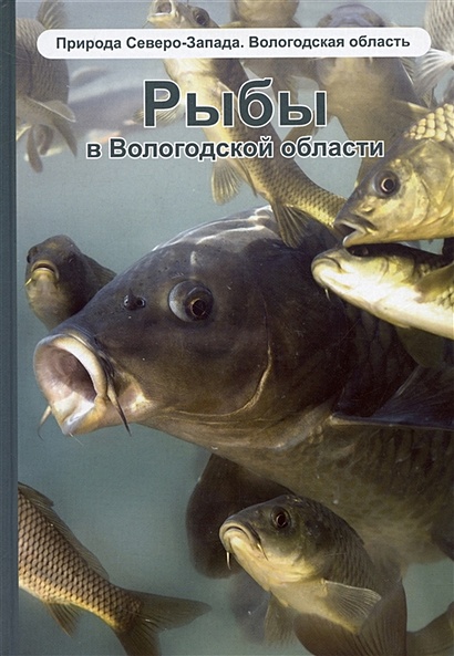 Рыбы в Вологодской области. Справочное издание - фото 1