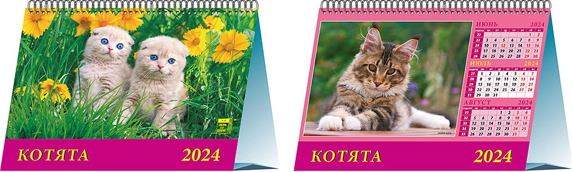 Календарь 2024г 200*140 "Котята" настольный, домик - фото 1