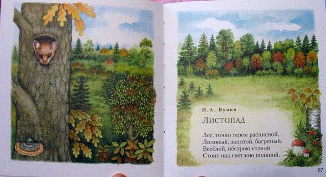 Дивная пора. Лучшие стихотворения русских поэтов о природе - фото 14