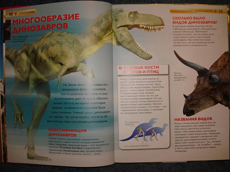 Динозавры - фото 6