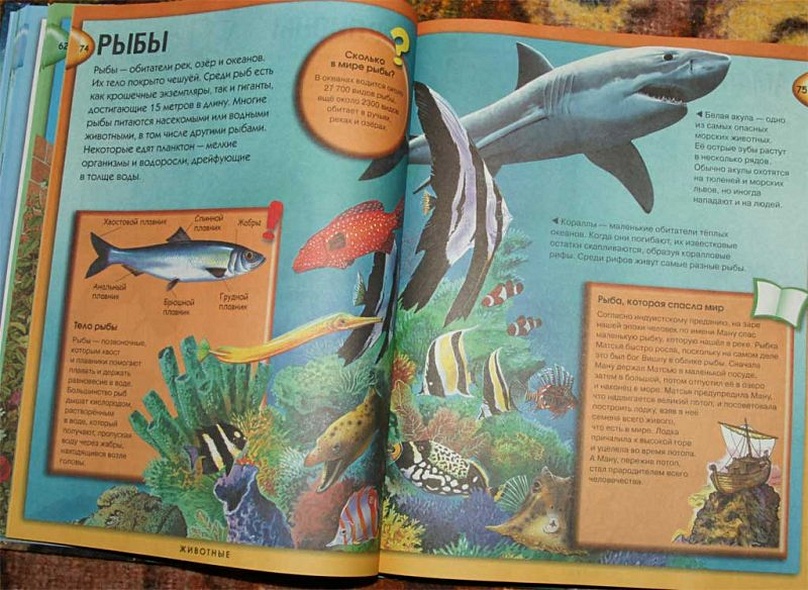 Энциклопедия необходимых знаний - фото 12