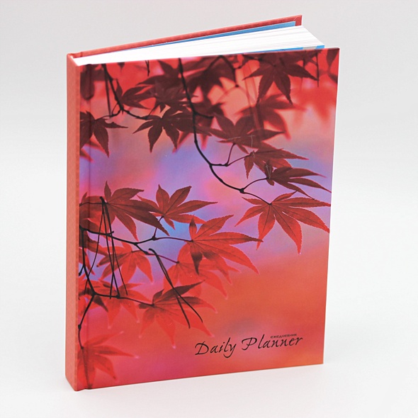 ежедневник недатир а5 80л, 7бц, calligrata, beautiful notes, глянцевая ламинация 9280731. ежедневник 7бц. ежедневник 7бц. ежедневник 7бц. ежедневник с природой.