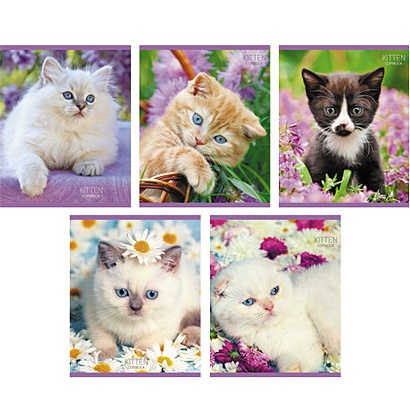 Котята в цветах 48 л., 5 видов ТЕТРАДИ А5 (*скрепка) 48Л. Обложка: без отделки - фото 1