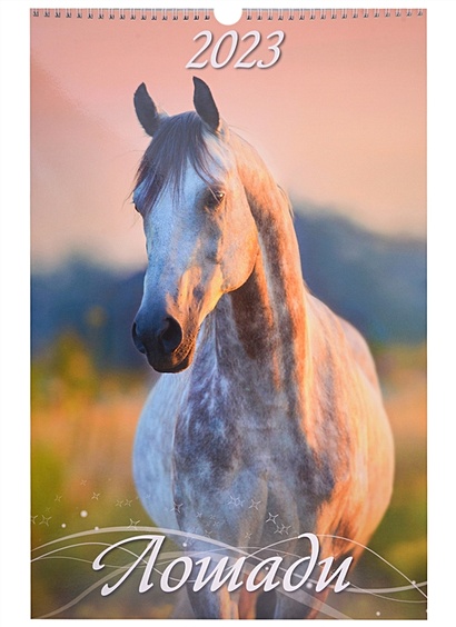 Календарь настенный на 2023 год "Лошади" - фото 1